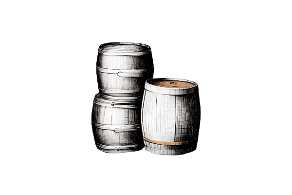 illustrazione-botti-di-vino